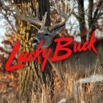 Lucky Buck